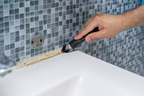 Richland, WA Mold Removal Pros
